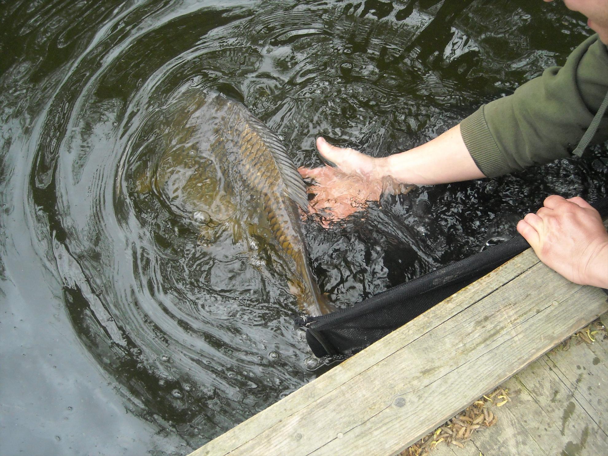 Crapmania - 2010 - crapmania-2010-237.jpg